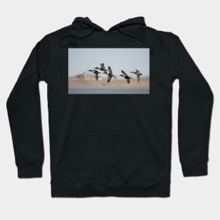 Flyby Hoodie